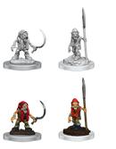 Wizkids: Nolzur's Marvelous Miniatures: Redcaps