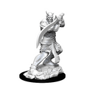 Wizkids: Nolzur's Marvelous Miniatures: Efreeti