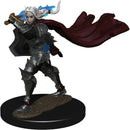 Wizkids Battles Premium Miniatures: Female Elf Champion