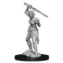 Wizkids Magic: the Gathering Miniatures: Nahiri