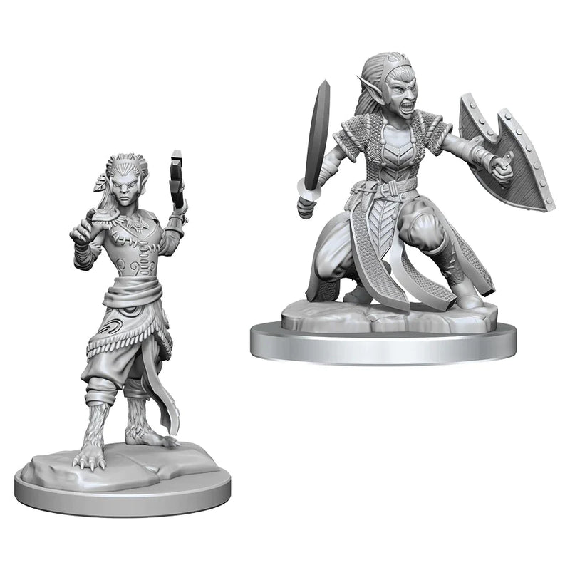 Wizkids: Nolzur's Marvelous Miniatures: Shifter Fighter
