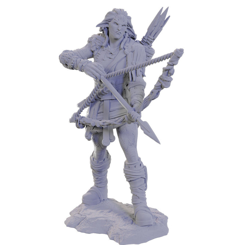 Wizkids Nolzur's Marvelous Miniatures: Wood Giant