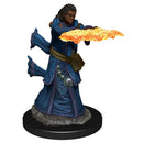 Wizkids Icons of the Realms Premium Miniatures: Human Wizard Female