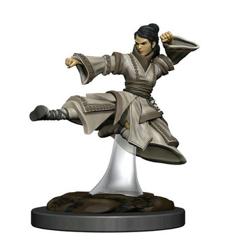 Wizkids Icons of the Realms Premium Miniatures: Human Monk